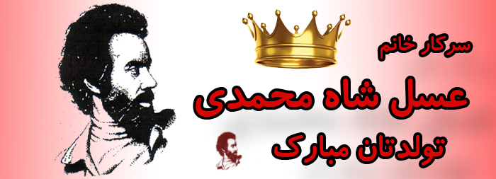 سرکار خانم عسل شاه محمدی تولدت مبارک